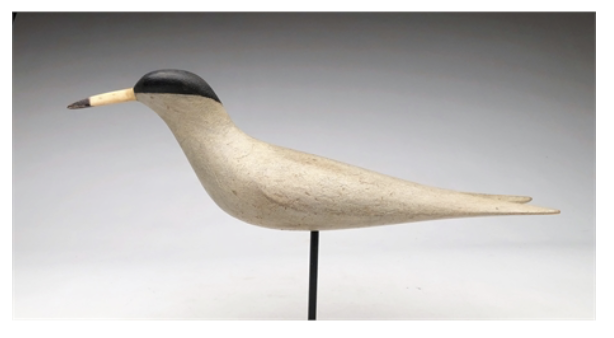 Mark McNair – Tern – 2020
