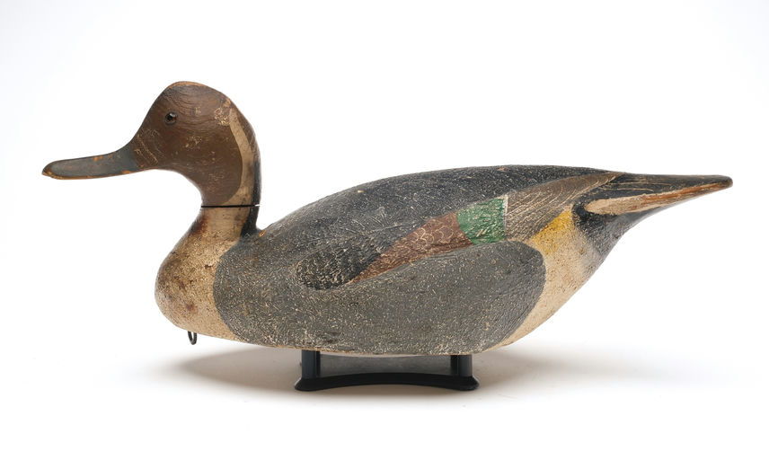 Ward Brothers – Early Pintail – 2026