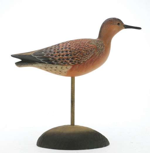 George Strunk – Red Knot – 2024