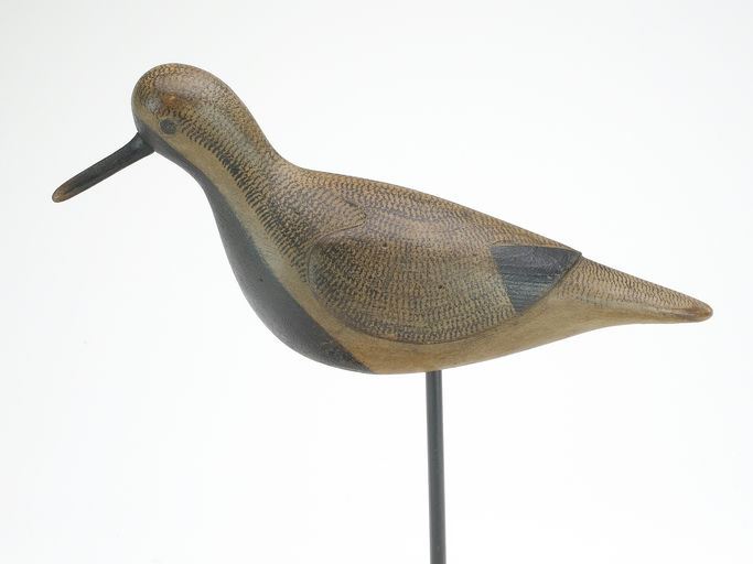 Mark McNair – Black bellied plover – 2023