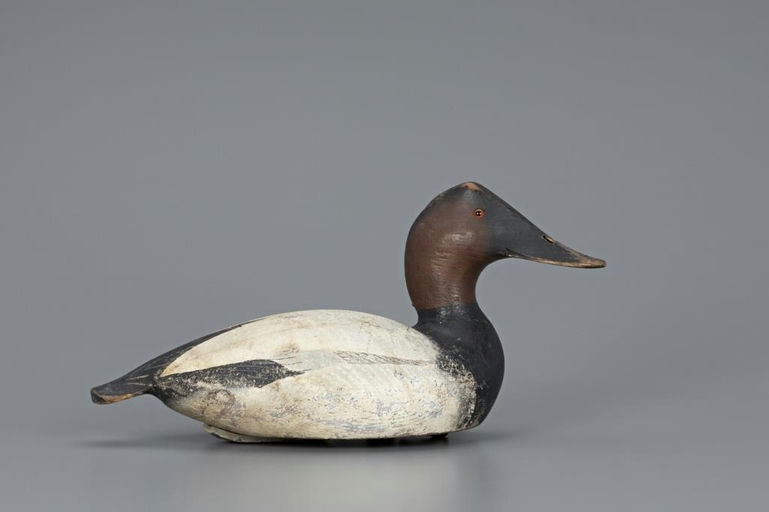 Ward Brothers – Canvasback Drake – 2019