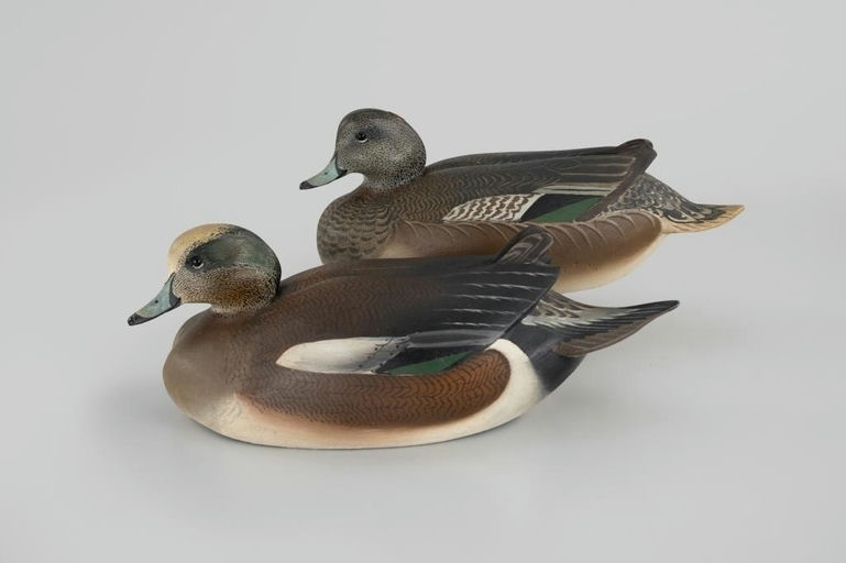 Ward Brothers – Exceptional Wigeon Pair – 2026