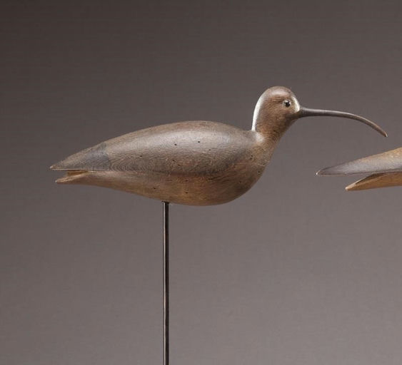 Mark McNair – Curlew – 2011