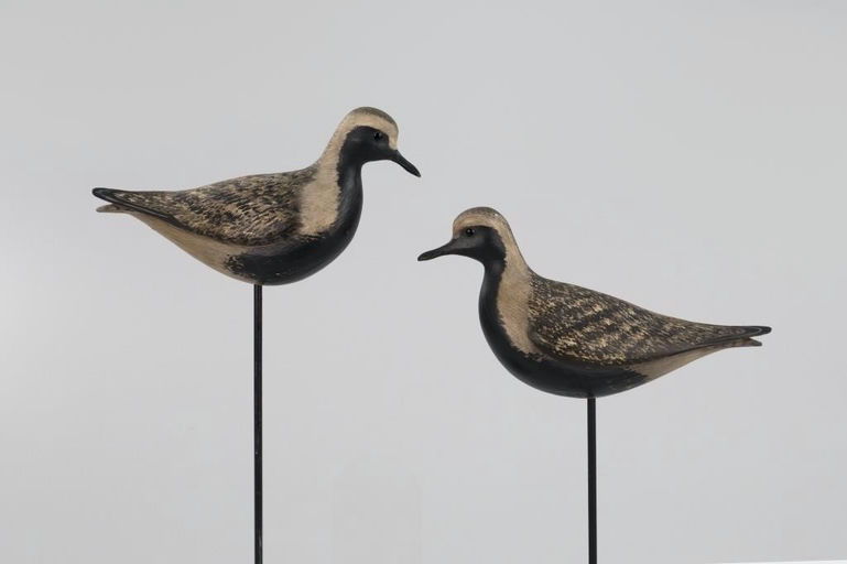 Bill Gibian – Black-Bellied Plover Pair – 2026
