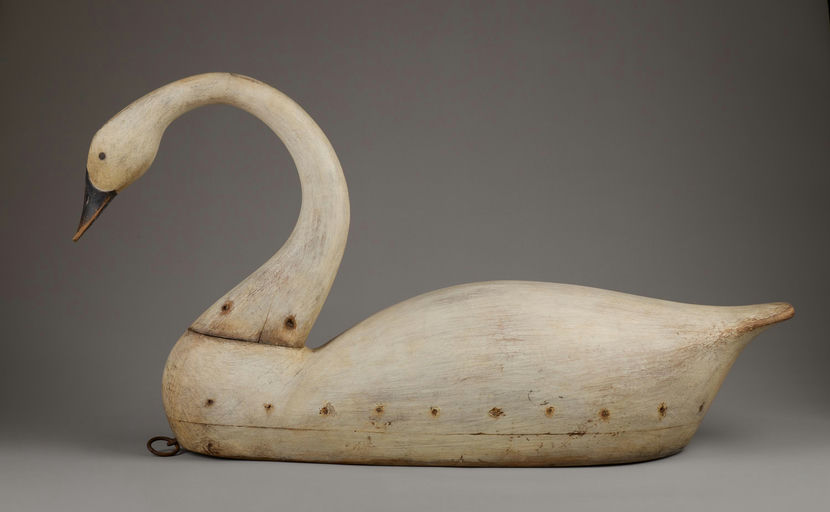Cameron McIntyre – Whistling Swan – 2025