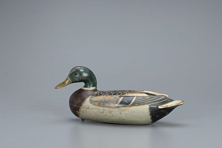 Charles Perdew – Turned-Head Raised-Wing Mallard Drake – 2019