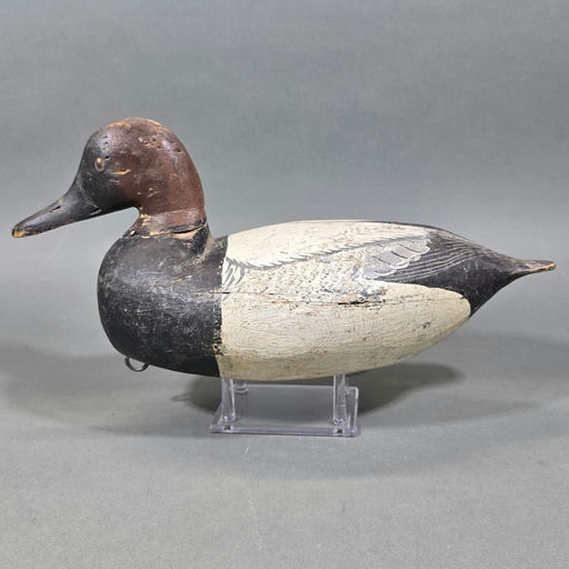 Miles Hancock – Canvasback – 2026