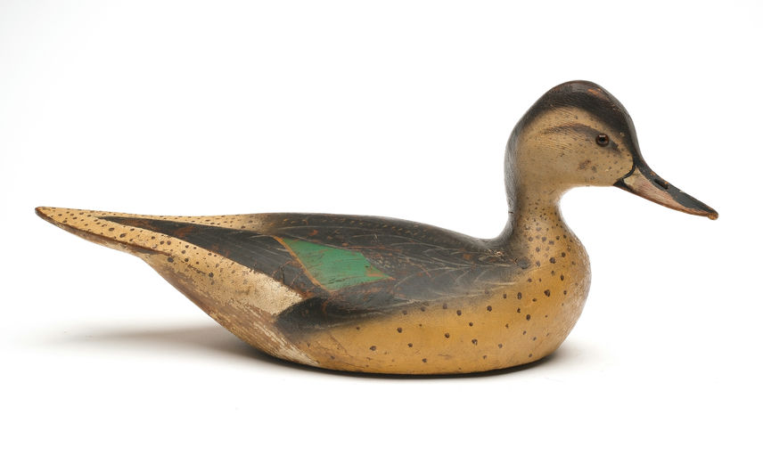Ward Brothers – Pintail – 2026