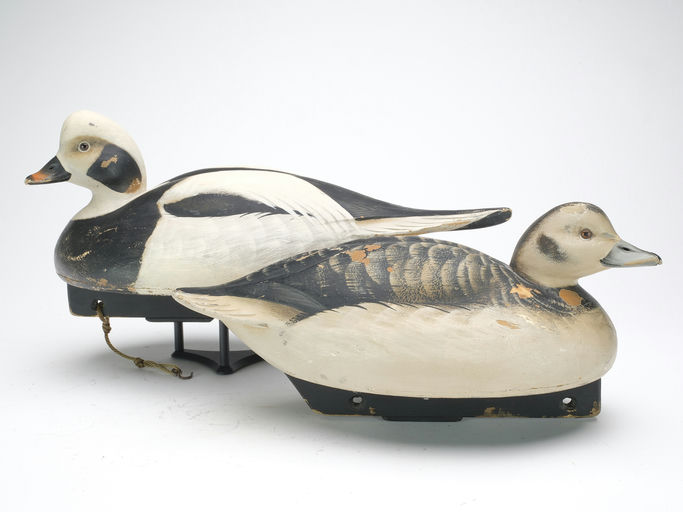 Jim Schmiedlin – Pair of Long Tail Duck – 2023