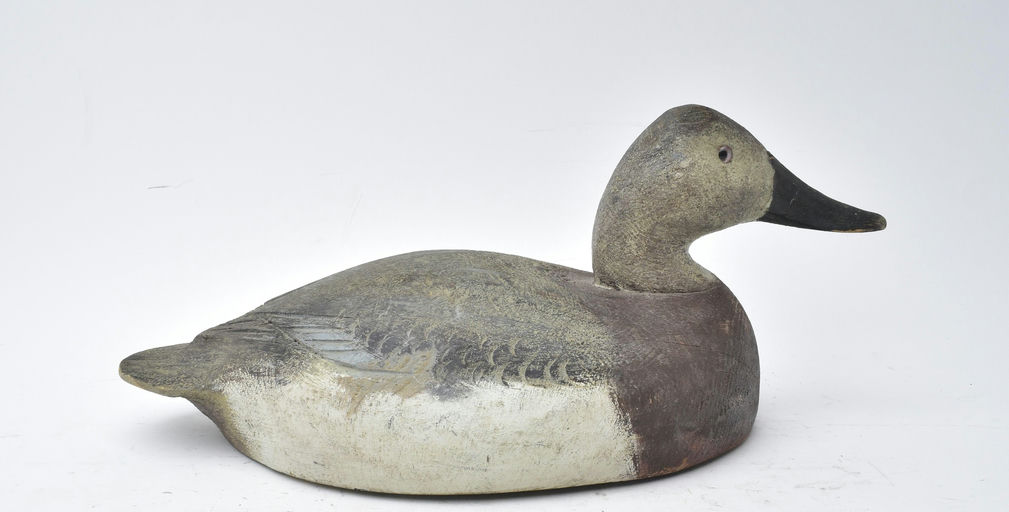 Ben Schmidt – Canvasback Hen – 2025