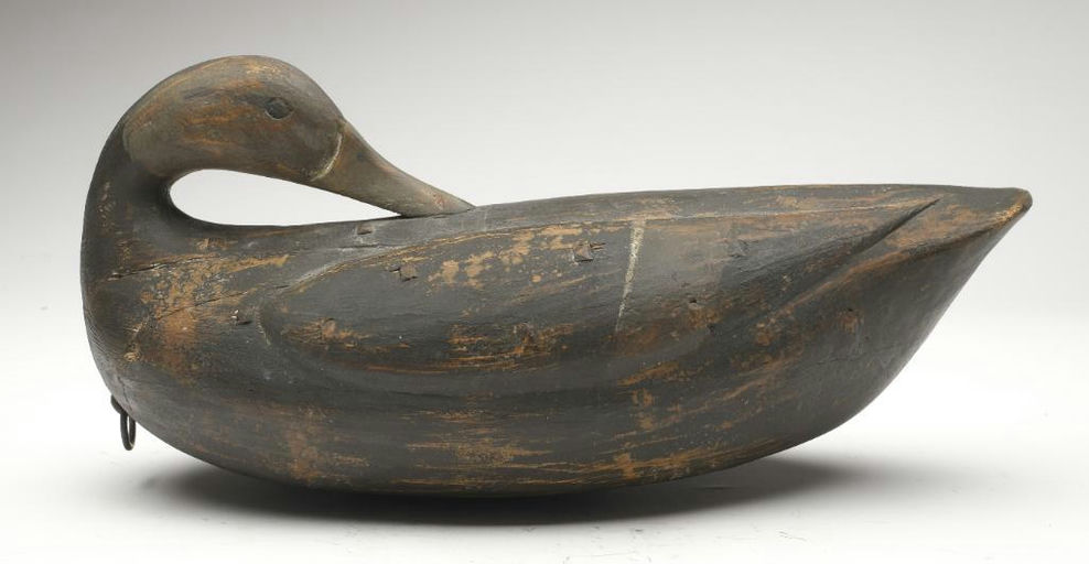 Reggie Birch – Black duck – 2023