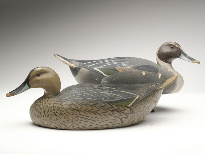 Ward Brothers – Pair of pintails – 2023