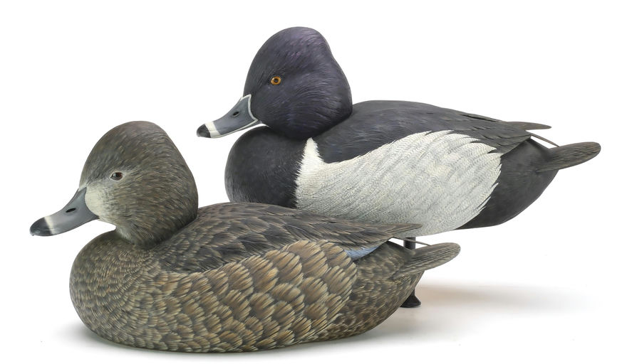 Ben A. Heinemann – Ringneck – 2024