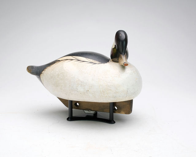 Jim Schmiedlin – Bufflehead – 2024
