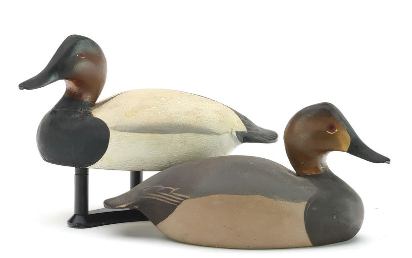 Ward Brothers – Pair of miniature canvasbacks – 2024