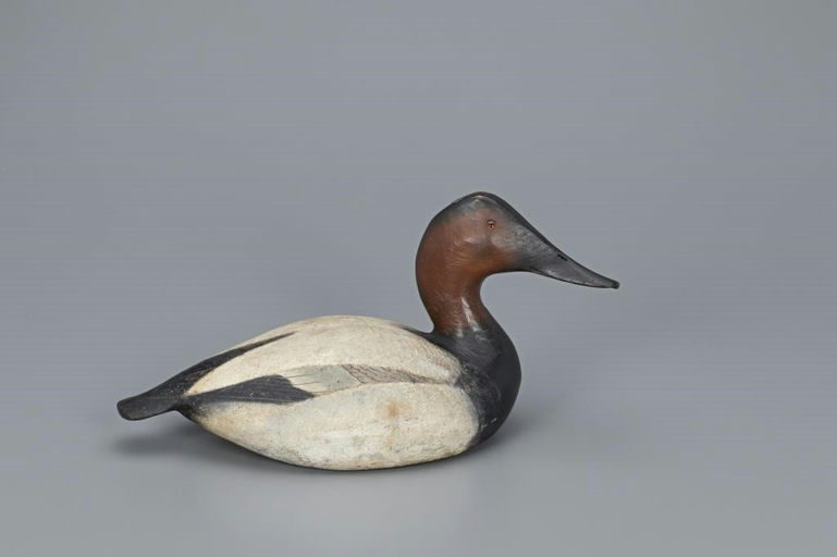 Ward Brothers – Classic 1936 Canvasback Drake – 2019