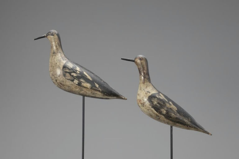 David S. Goodspeed – Two Early Yellowlegs – 2018