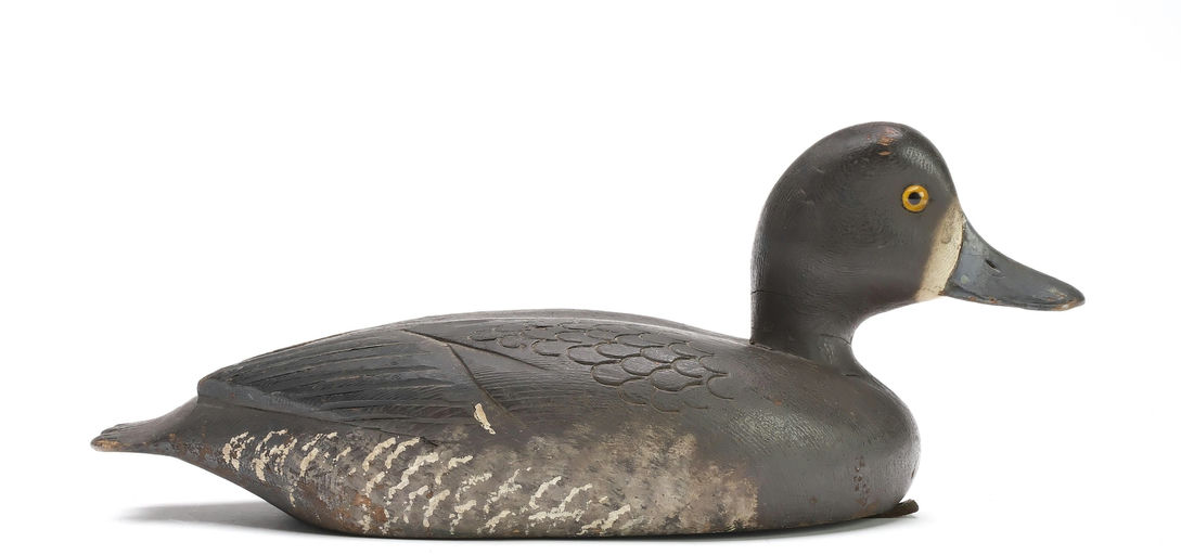 David W. Nichol – Scaup – 2025