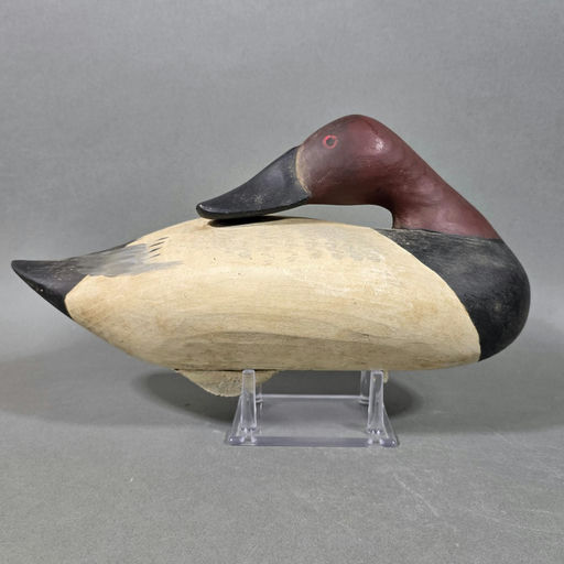 R. Madison Mitchell – Canvasback – 2026