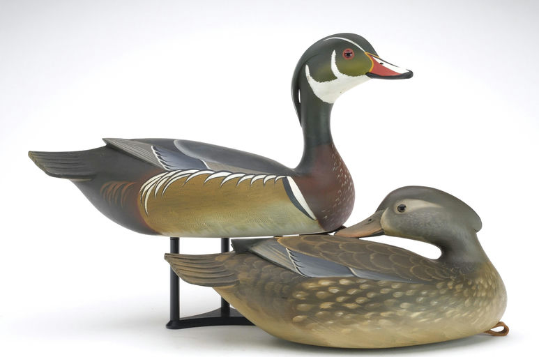 George Strunk – Pair of Wood Ducks – 2024