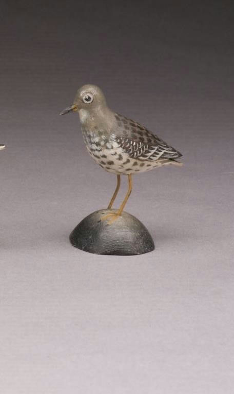 Elmer Crowell – Miniature Purple Sandpiper – 2010