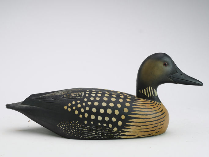David W. Nichol – Loon – 2024