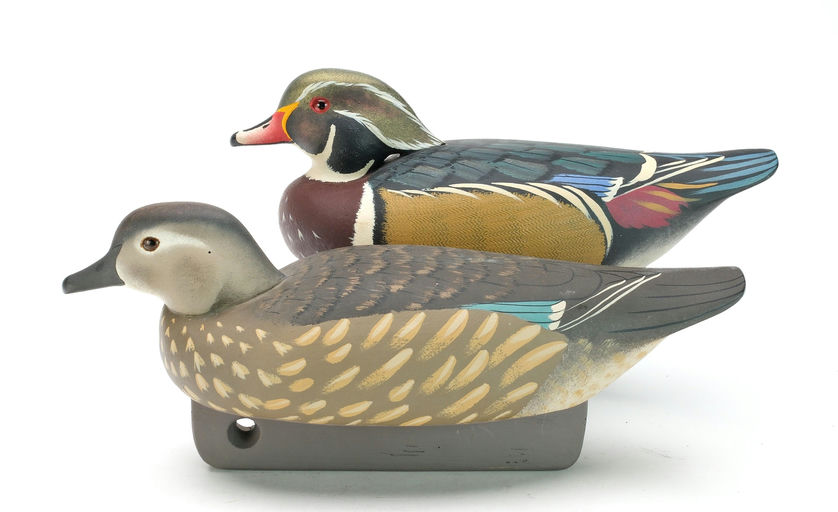 Robert Capriola – Pair of Wood Duck – 2025