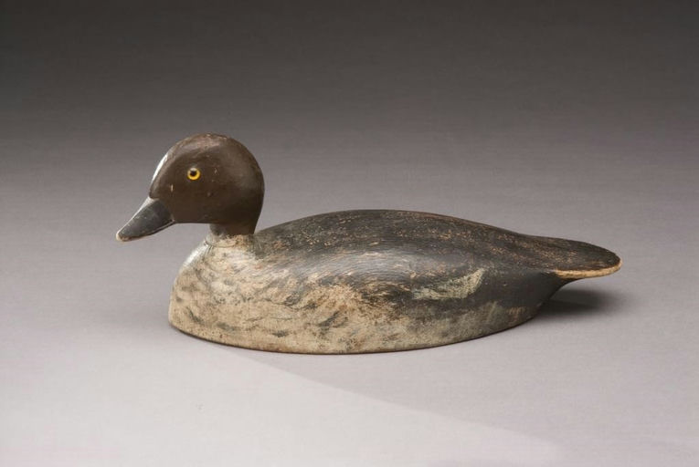 C. William Chrysler – Goldeneye Hen – 2010