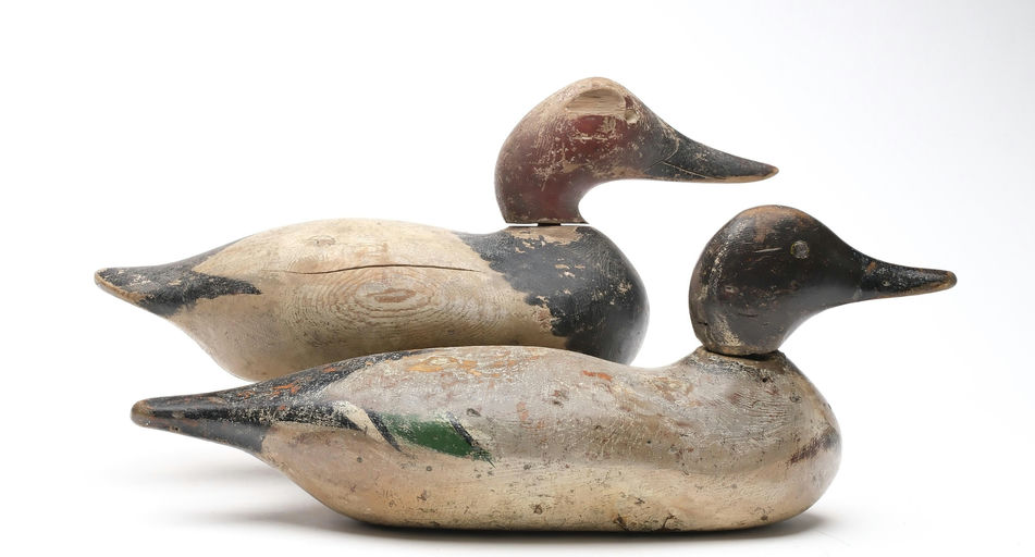 Mason Decoy Factory – Canvasback – 2025