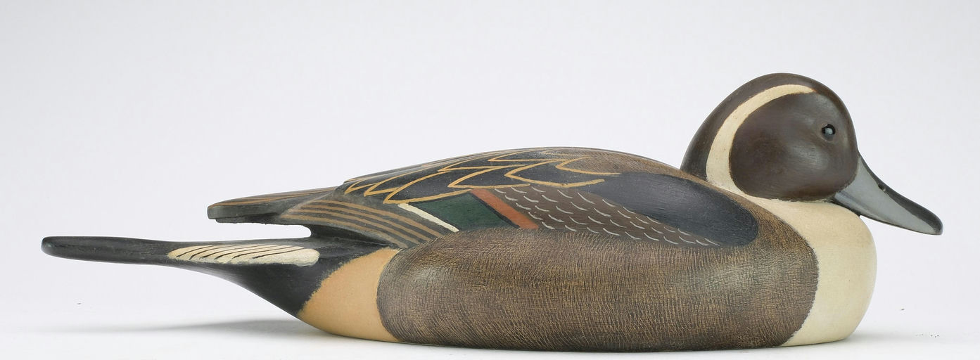 John McLoughlin – Pintail – 2024