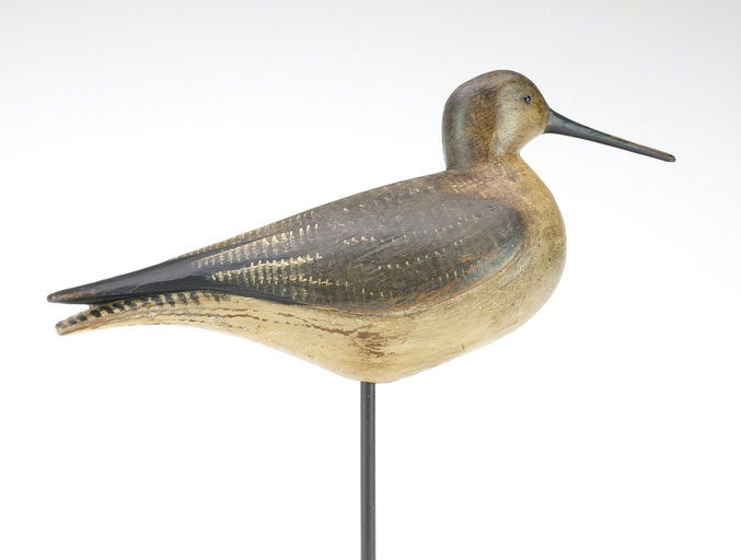 Mark McNair – Yellowlegs or Willet – 2024