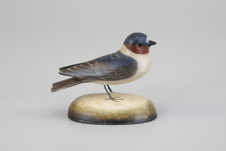 Frank Finney – Cliff Swallow – 2026