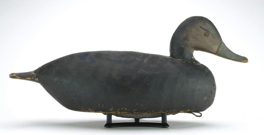 Miles Hancock – Black Duck – 2024