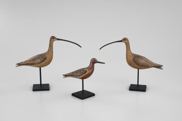 Bill Gibian – Three Rare Miniature Shorebirds – 2026