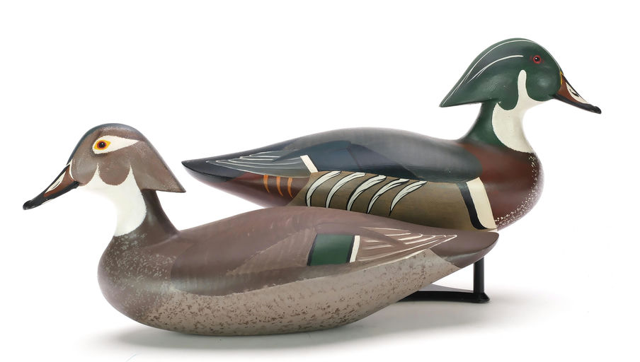 R. Madison Mitchell – Pair of Wood Ducks – 2024