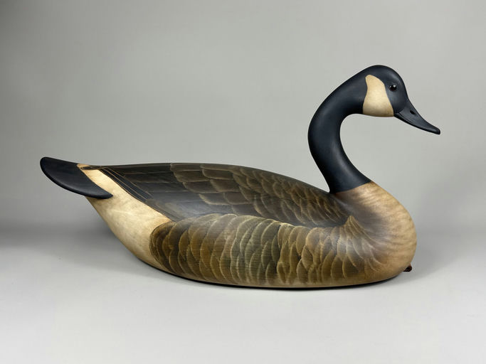 Bill Gibian – Canada goose – 2026
