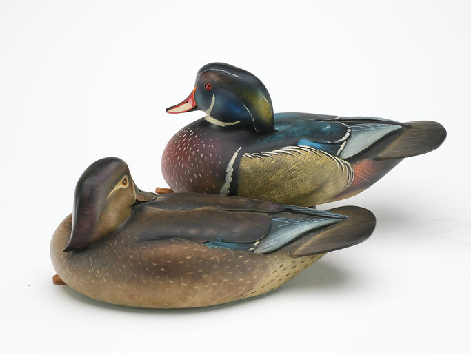 Sean Sutton — Pair of Wood Duck