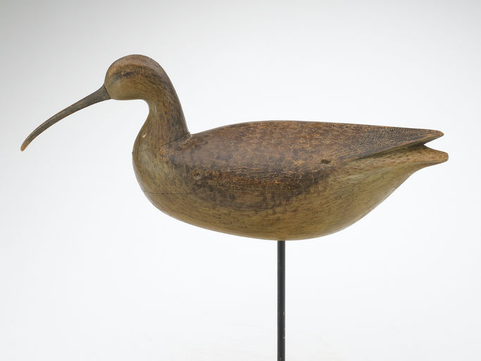 Cameron McIntyre – Curlew – 2024