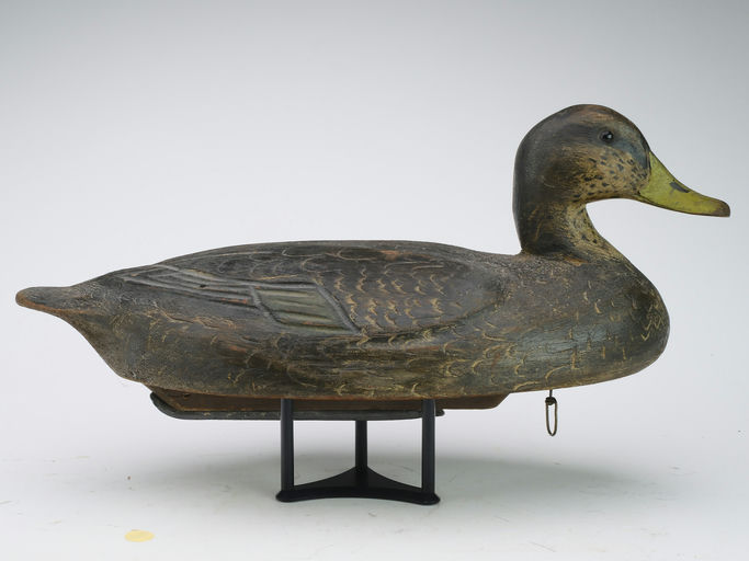 Ben Schmidt – Black Duck – 2024