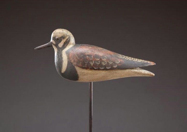 Mark McNair – Ruddy Turnstone – 2013