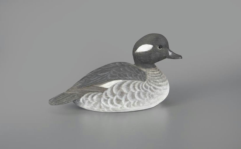 Al Glassford – Bufflehead Hen – 2024