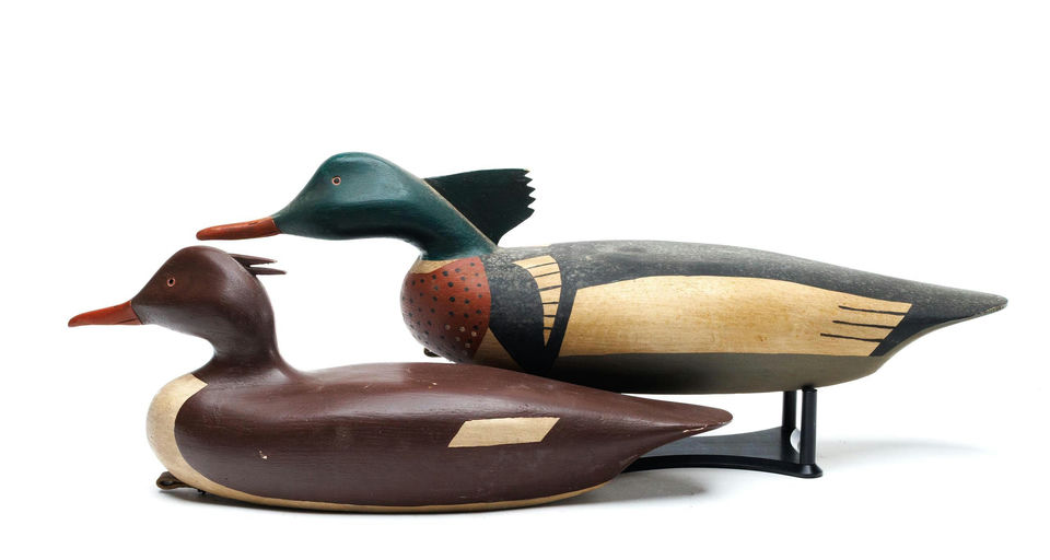 Frank J. Dobbins – Red-breasted merganser – 2026