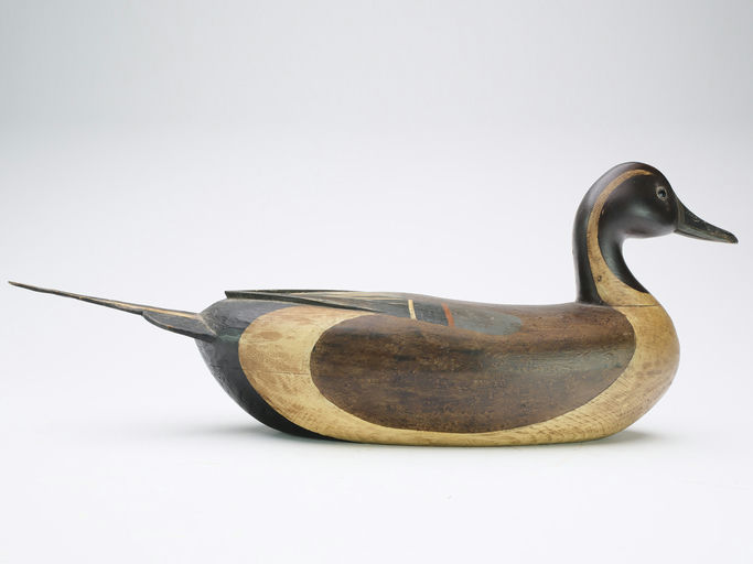 Mark McNair – Hollow carved Early Pintail – 2024
