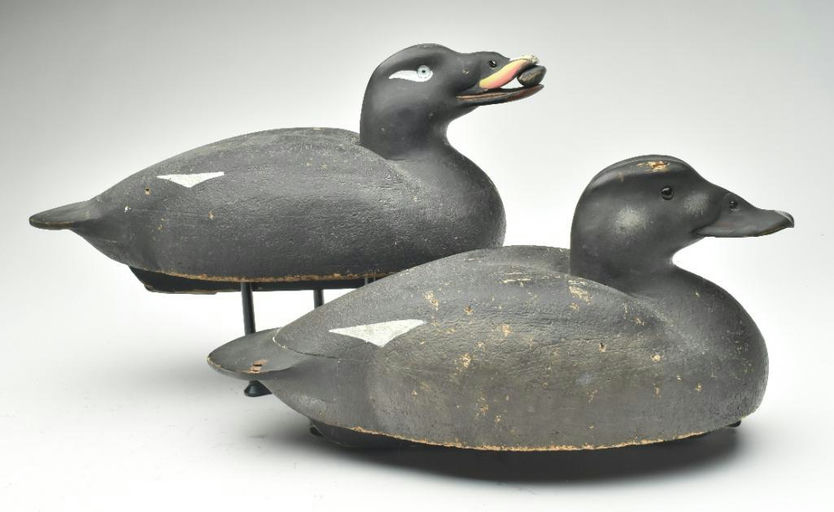 Keith Mueller – Pair of Scoter – 2023