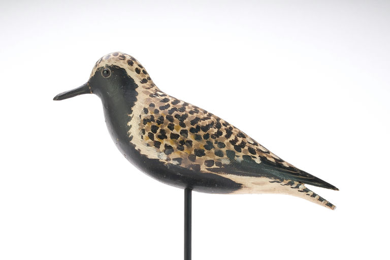Elmer Crowell – Black Bellied Plover – 2026