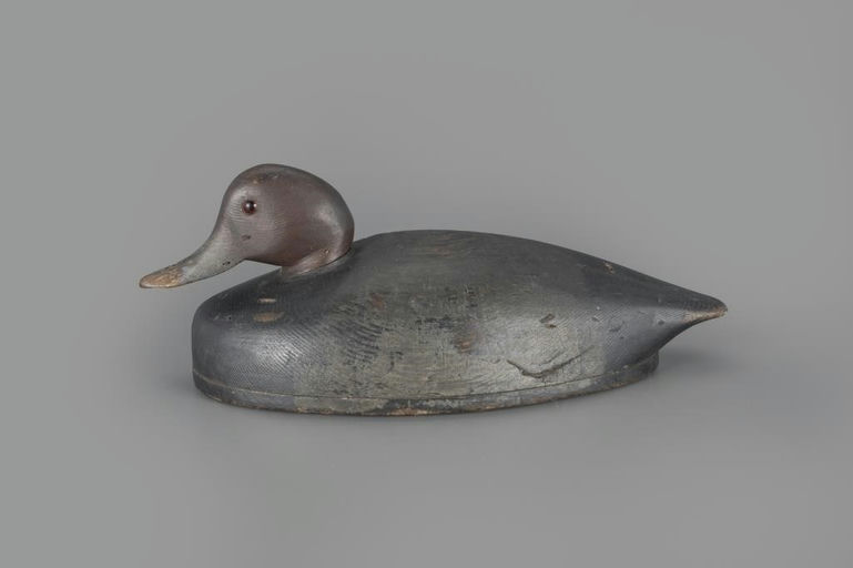 Robert Renardson – Early Redhead Drake – 2025