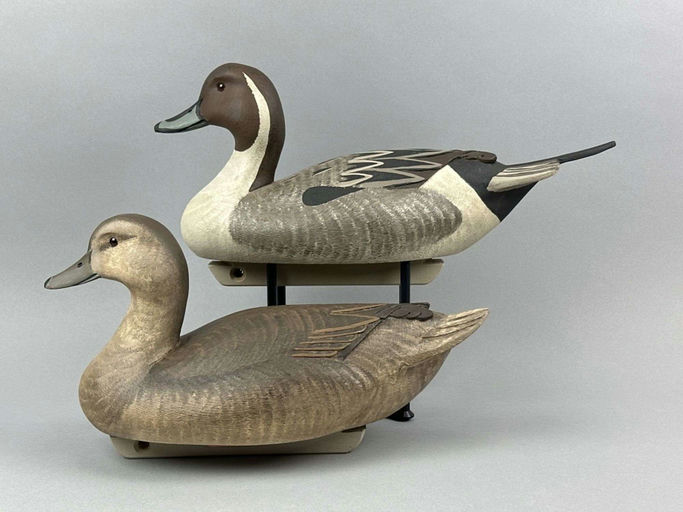 Marv Meyer – Pintail – 2026