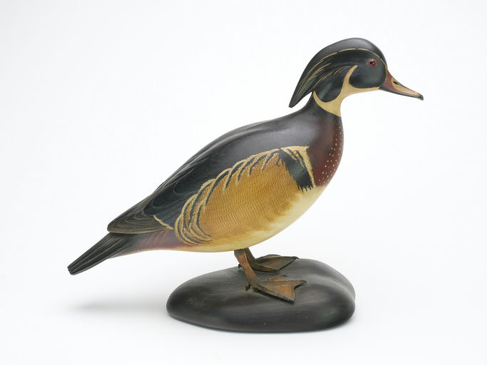 Bill Gibian – Wood Duck – 2024