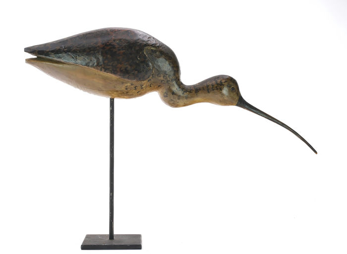 Mark McNair – Running Curlew – 2024