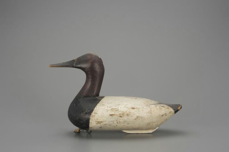 Bob McGaw – High-Head Canvasback – 2018